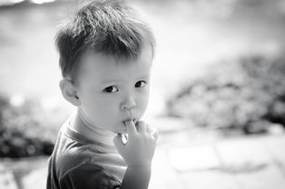 五岁找人代生孩子低烧怎么办